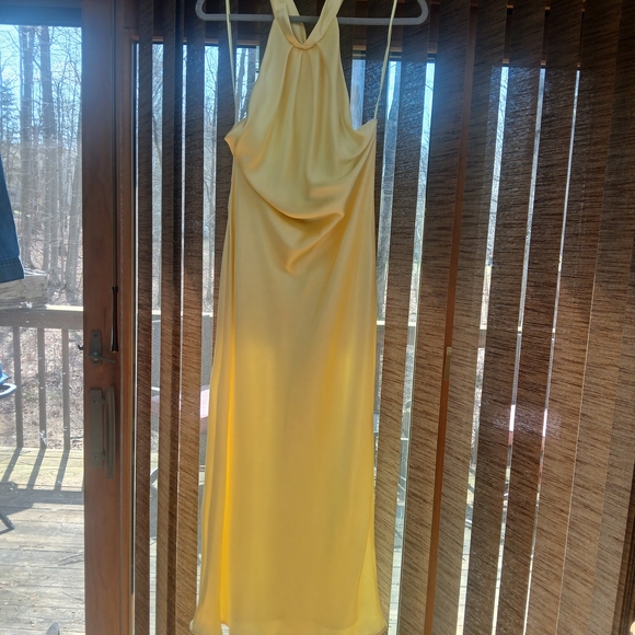 Zara Pale Yellow Halter Backless Satin Maxi Dress - Picture 7 of 8